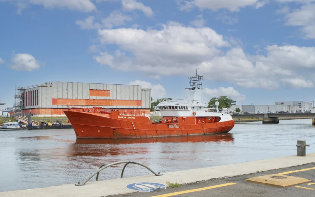Maritime decarbonisation: Navigating CII, EEXI, and EU ETS